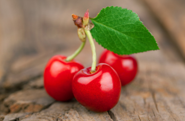 Обои картинки фото еда, вишня,  черешня, фрукты, черешня, веточка, лето, листик