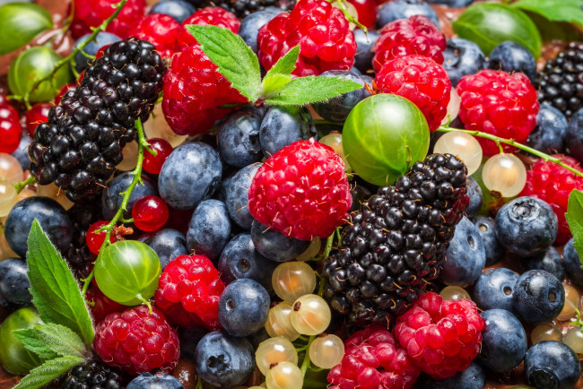 Обои картинки фото еда, фрукты,  ягоды, ягоды, голубика, крыжовник, смородина, ежевика, малина