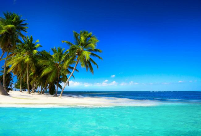 Обои картинки фото природа, тропики, пальмы, пляж, море