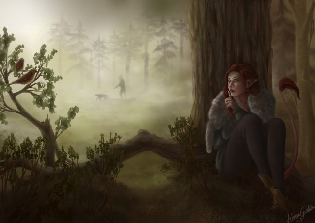 Обои картинки фото фэнтези, эльфы, лес, девушка, эльф, охотник, дерево, птицы