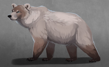 Картинка рисованное животные +медведи медведь фон взгляд