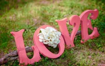 Картинка праздничные день+святого+валентина +сердечки +любовь цветы любовь bouquet flowers romantic love