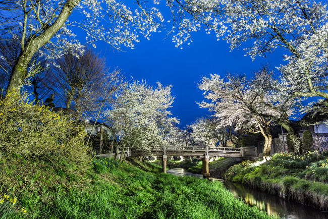 Обои картинки фото природа, парк, небо, деревья, мост, весна, река, вечер