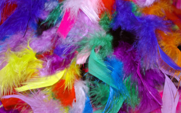 Картинка разное перья разноцветные
