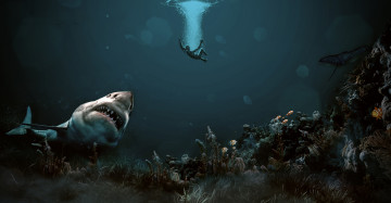 Картинка разное компьютерный+дизайн фон человек акула океан