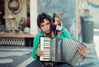 Картинка музыка -другое аккордеон улица собака баян мужчина взгляд