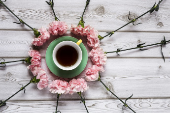 Картинка еда напитки +чай гвоздика чай цветы