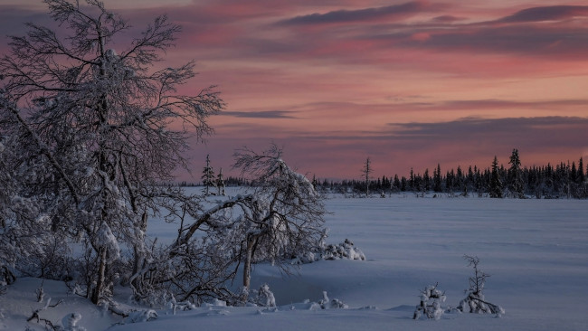 Обои картинки фото природа, зима, вечер, снег