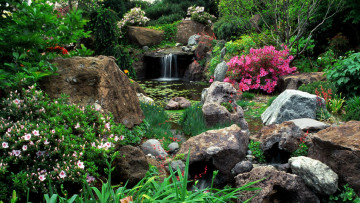 Картинка природа парк кусты камни пруд