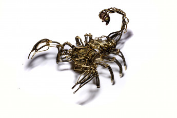 Картинка разное ремесла поделки рукоделие скорпион