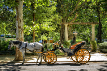 Картинка maria luisa park seville spain разное транспортные средства магистрали парк марии луизы севилья испания карета