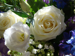 Картинка цветы разные+вместе эустома белые розы букет