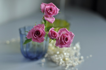 Картинка цветы розы розовые ваза