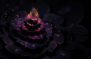 Картинка 3д+графика цветы+ flowers цветок слои лепестки взрыв свет капли
