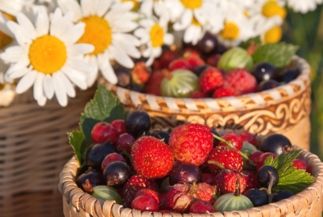 Обои картинки фото еда, фрукты,  ягоды, смородина, ромашки, крыжовник, малина, клубника