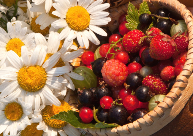 Обои картинки фото еда, фрукты,  ягоды, клубника, малина, ромашки, крыжовник, смородина