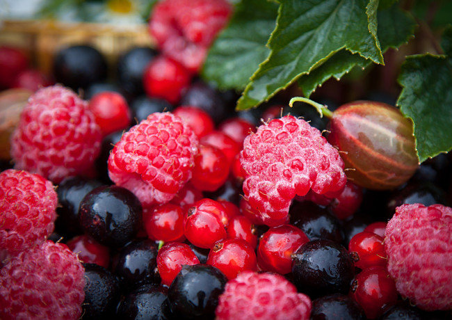 Обои картинки фото еда, фрукты,  ягоды, крыжовник, клубника, смородина, малина