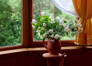 Картинка цветы жасмин лето натюрморт
