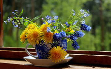 Картинка цветы букеты +композиции одуванчики мускари натюрморт весна брунера букет