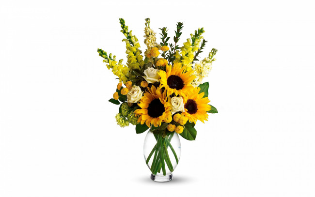 Обои картинки фото цветы, букеты,  композиции, подсолнухи, букет, ваза, розы, белый, фон, антирринум, львиный, зев, желтые