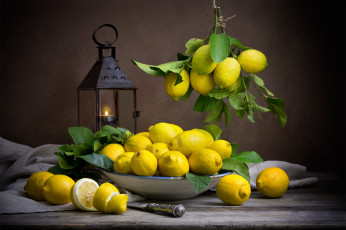 Картинка еда натюрморт лимон