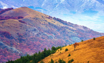 Картинка демерджи-яйла +крым природа горы деревья
