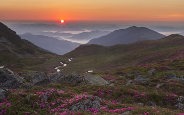 Картинка природа пейзажи румыния луга утро рассвет туман ручей камни