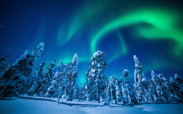 Картинка природа северное+сияние сияние снег деревья зима небо