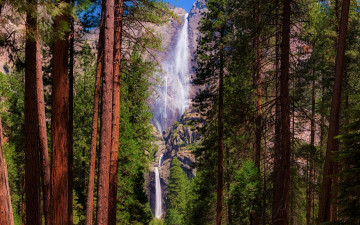 Картинка природа водопады скалы лес водопад