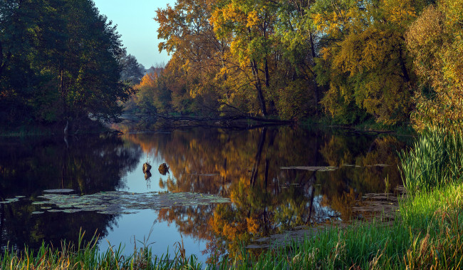 Обои картинки фото природа, реки, озера, отражение, пруд, осень