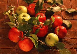 Картинка еда Яблоки сочные яблоки листья