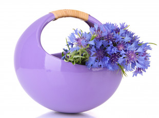 Картинка цветы васильки сиреневый синий ваза