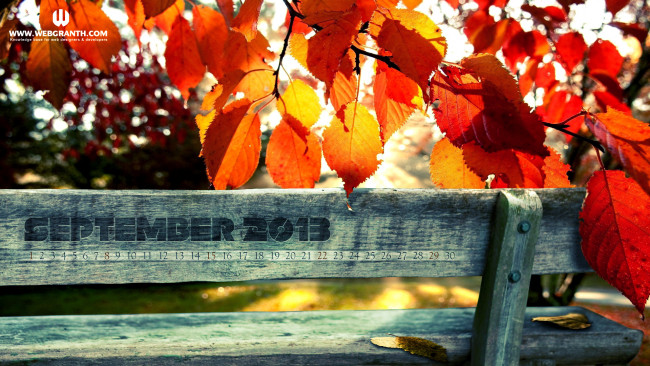 Обои картинки фото календари, природа, доска, осень, листья