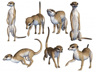 Картинка 3д+графика животные+ animals meerkats