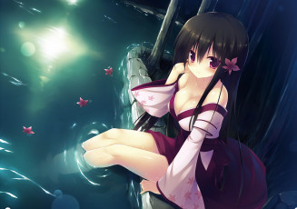 Картинка аниме *unknown+ другое листья ночь вода кимоно девушка zettai saikyou oppai sensou луна свет