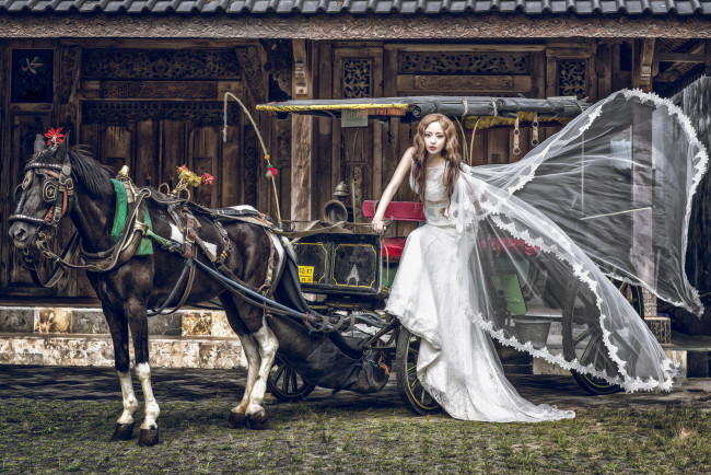 Обои картинки фото девушки, -unsort , азиатки, лошадь, невеста, платье, азиатка, девушка, повозка, кляча, конь