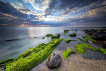 Картинка природа побережье облака камни