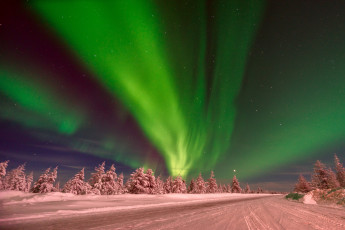 Картинка природа северное+сияние зима дорога небо снег деревья ночь звёзды северное сияние