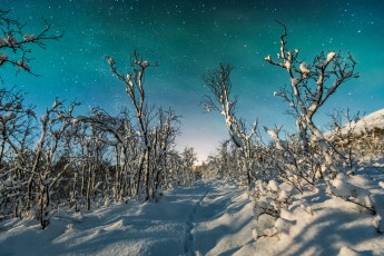 Картинка природа зима снег простор