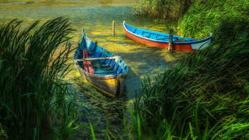 Картинка корабли лодки +шлюпки пейзаж деревья лодка озеро