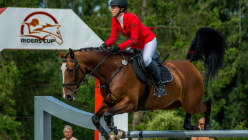 Картинка спорт конный+спорт девушка лошадь барьер наездник жокей
