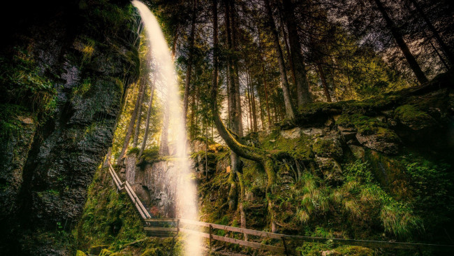 Обои картинки фото природа, водопады, лестница, поток, лес, водопад