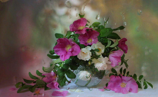 Обои картинки фото цветы, шиповник, ваза, окно, букет, капли