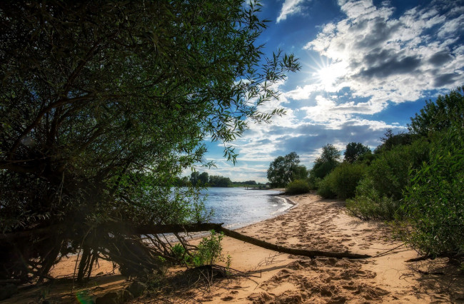 Обои картинки фото природа, реки, озера, деревья, берег, песок, река