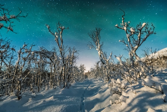 Обои картинки фото природа, зима, снег, простор
