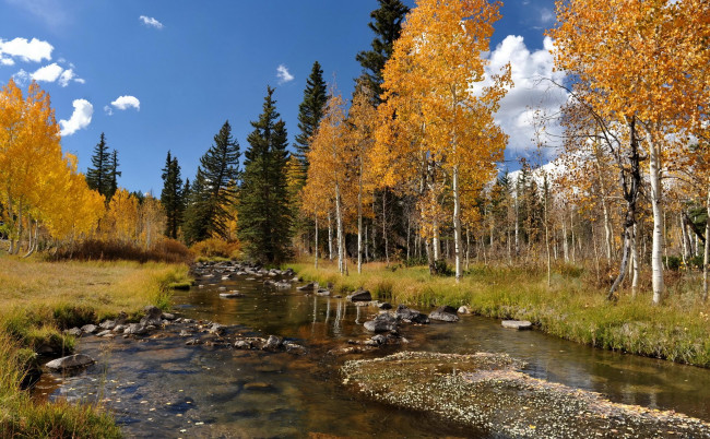 Обои картинки фото природа, реки, озера, камни, деревья, осень, река