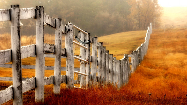 Обои картинки фото farm, fence, природа, поля, трава, осень, поле, лес, изгородь, калитка