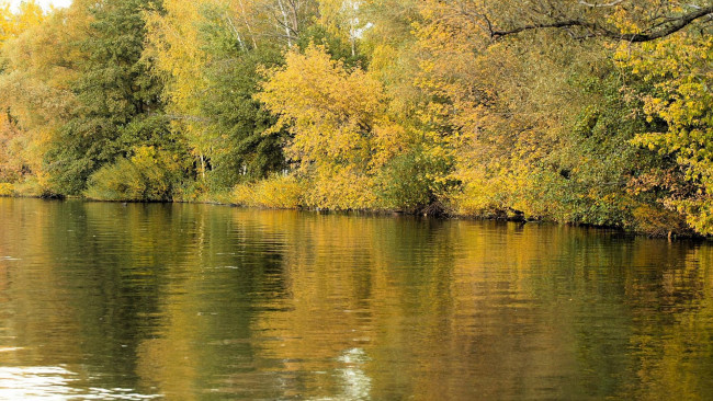 Обои картинки фото природа, реки, озера, вода, осень, деревья, тишина