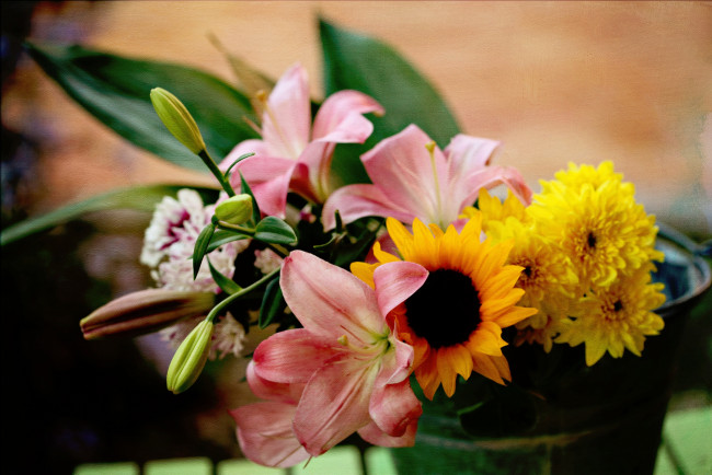 Обои картинки фото цветы, разные, вместе, лилии, подсолнух