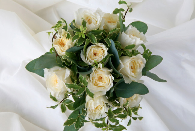 Обои картинки фото цветы, букеты, композиции, розы, плющ, свадебный